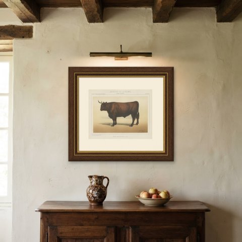 Salers Ox, French Cattle Breed, Antique Chromolithograph by Borie, 1863, shown framed on a wall