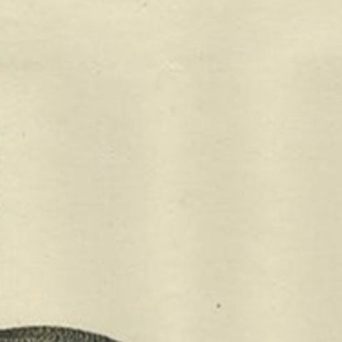 Northern Pintail Drake - Antique Bird Engraving by Nozeman and Sepp, 1789, close-up 1