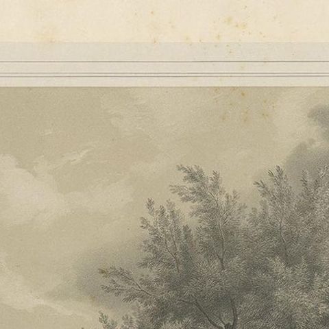 Antique Print of a Pasture with Cattle by Neumann 'c.1860', close-up 1