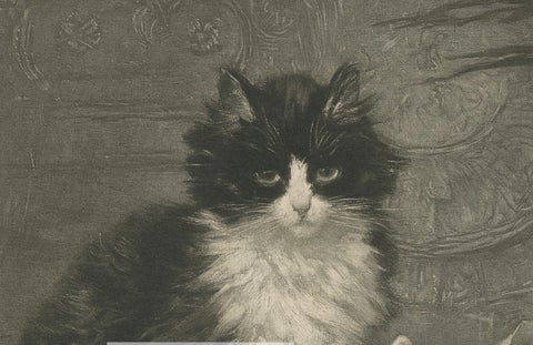 "Motherly Watch" - Cats and Kittens by Henriette Ronner (1894), close-up 1