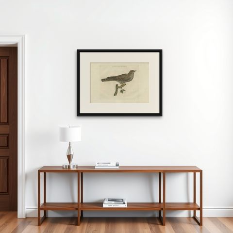 Rufous Cuckoo, Hand-Coloured Engraving with Dutch Text, 1770–1829, shown framed on a wall