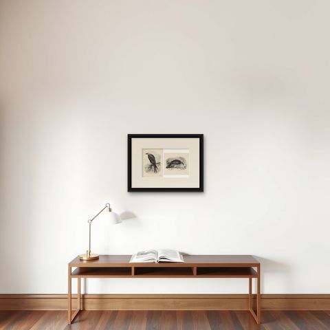 Antique Honey Buzzard Bird Prints by Lilian M. Medland, Set of Two, 1908, shown framed on a wall