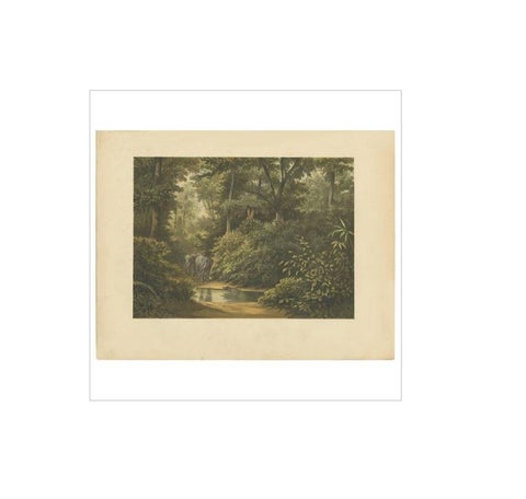 Antique Print of a Forest and Elephants in Indonesia by M.T.H. Perelaer, 1888, view 4