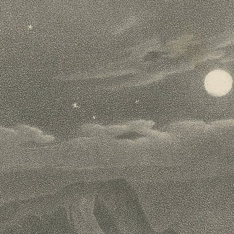 Antique Print of a Lion Hunt in Africa, close-up 1