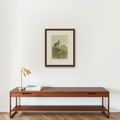 Partridges in Rural Landscape, Antique 19th Century Bird Chromolithograph, shown framed on a wall