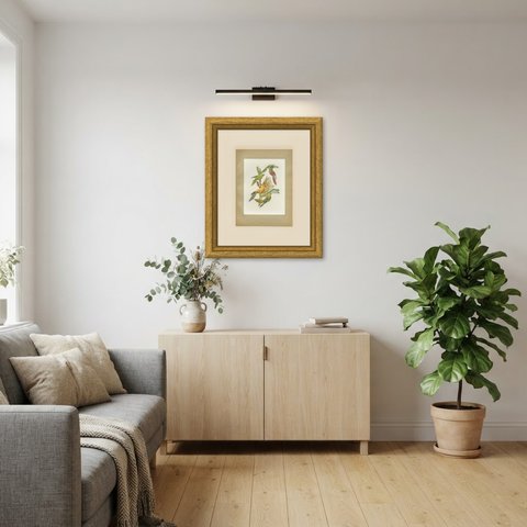 Conures and Parakeets, Brazilian Bird Print, Descourtilz, 1944, shown framed in a room