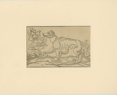 Rare 1592 Woodcut of Exotic Animal from Sebastian Münster's "Cosmographia", view 2