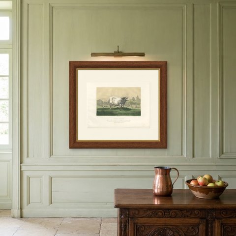 Emilie, Durham Shorthorn Cow of Corbon, Antique Print, 1873, shown framed on a wall