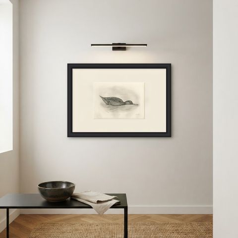 Duck Feeding, Antique Bird Print after Lilian Medland, circa 1909, shown framed on a wall