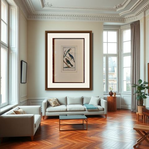 Antique Bird Print of Various Parrot Species by Buffon, 1787, shown framed in a room