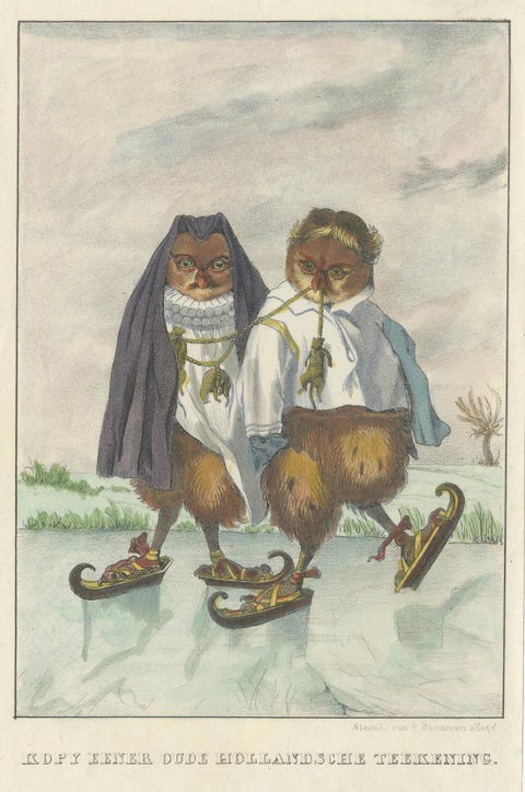 19th Century Hand-Colored Lithograph of Owls from an Old Dutch Drawing, 1860, close-up 4