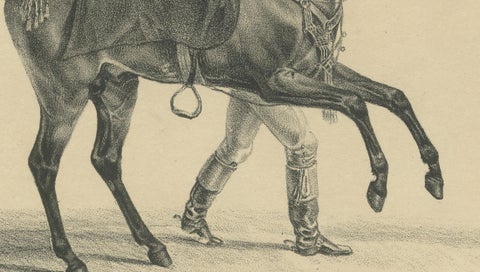 Antique Arabian Horse Lithograph “Aleppo” by August Jäger, 1846, close-up 3