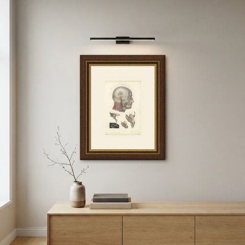 Superficial Nerves of the Head and Neck, Antique Hirschfeld Anatomy Print, 1866, shown framed on a wall