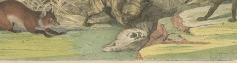 Antique Grizzly and Black Bear Print with Wolf, Fox and Raccoon, circa 1890, close-up 2