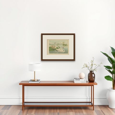 Swans on a Quiet Lake, Graceful Antique Bird Chromolithograph c.1880, shown framed on a wall