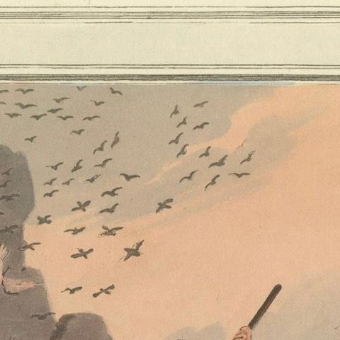 Foreign Field Sports: Bird Catching Aquatint by Dubourg & Howitt, 1813, close-up 5