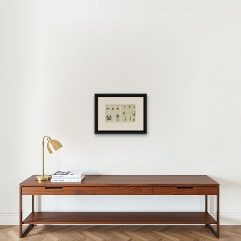 Set of Two Antique Prints of Various Insects Including Spiders and Mites, shown framed on a wall