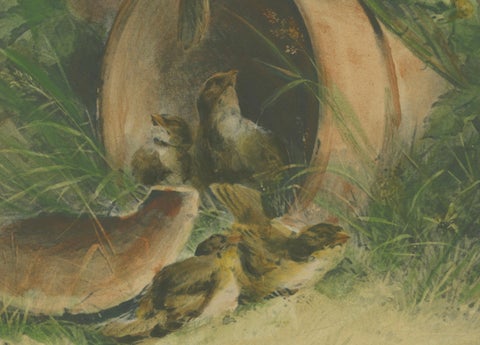 Nestled Sparrows in a Broken Flower Pot - Rare Giacomelli Ornithological Print, close-up 1