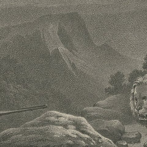 Antique Print of a Lion Hunt in Africa, close-up 2
