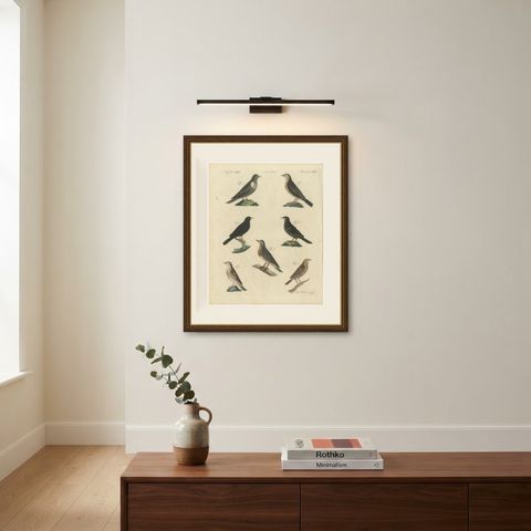 Thrushes, Blackbird and Ring Ouzel, Antique Bertuch Print, Vienna, circa 1805, shown framed on a wall