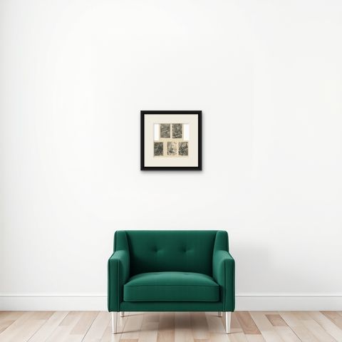 Set of 5 Antique Monkey Prints, Gorilla, Chimpanzee, by Brehm 'c.1890', shown framed on a wall