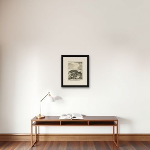 Original Antique Engraving of The Red Giant Flying Squirrel or "Le Taguan", 1766, shown framed on a wall