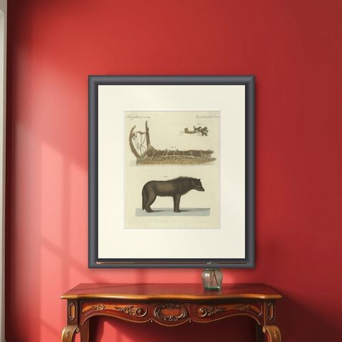 Antique Print of a Dog from Baffin Bay Greenland and a Dog Sled, ca.1800, shown framed on a wall