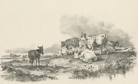 No. 29 Antique Print of Cattle and a Donkey by Cooper, 1839, view 2