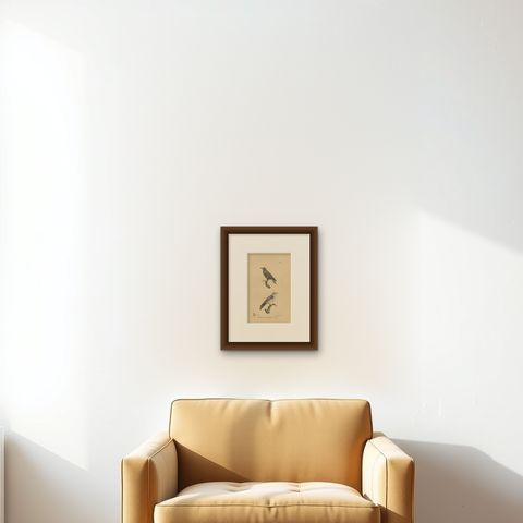 Pl. 33 Antique Bird Print of a Nutcracker & European Roller by Lejeune, 'c.1830', shown framed on a wall