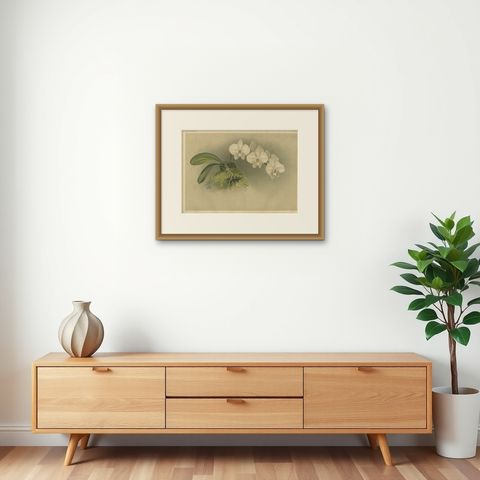 Victorian Botanical Print, White Phalaenopsis Casta Orchid, Published ca.1888, shown framed on a wall