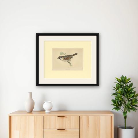 Antique Bird Print of a Tree Sparrow, shown framed on a wall