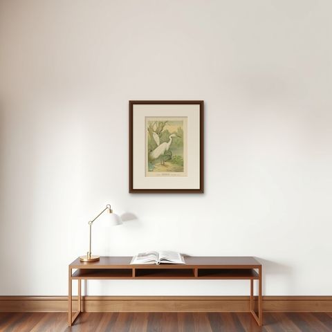 Great Egret or White Heron, Elegant German Ornithology Print c.1985, shown framed on a wall