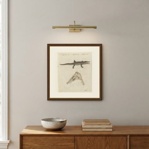 Crocodile with a Study of Its Skull, Antique Bertuch Print, Vienna, circa 1809, shown framed on a wall