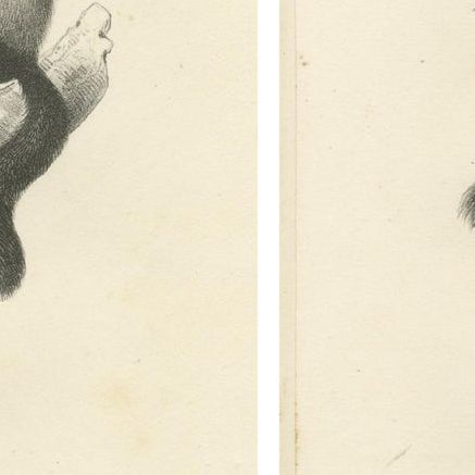 Oeakari, Sodenaap, Cacajao & Capuchin Monkeys, Lithographs by C.C. Last, 1836, close-up 2