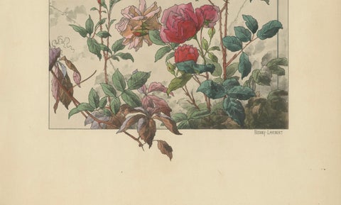 The Elegance of Bengal Roses and Virginia Creeper in Art Nouveau Design, 1896, close-up 2