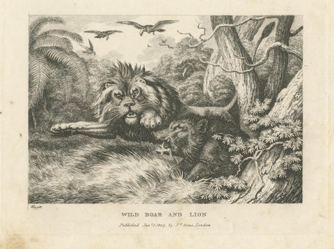 Original Antique Print of a Wild Boar and a Lion, 1811, view 3