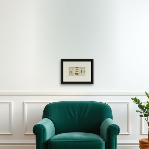 Arachnid & Insect Engravings: Stunning Hand-Colored Natural History Art, 1832, shown framed on a wall