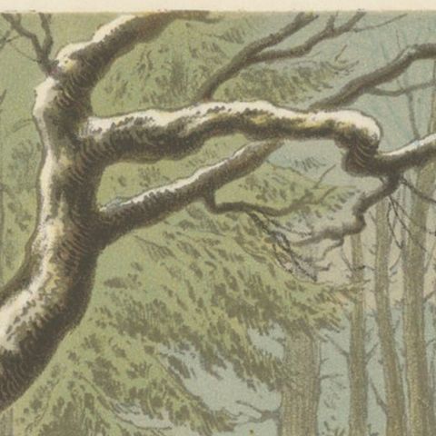Antique Print of a Man on a Horse Chased by Wolves, close-up 1