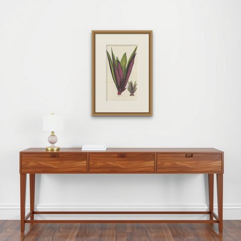 Antique Botany Print of Tradescantia Spathacea by Van Houtte, 1856, shown framed on a wall