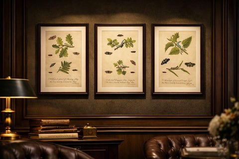 Antique Entomology Prints, English Insects on Oak, Bramble & Willow, Albin 1720, view 2
