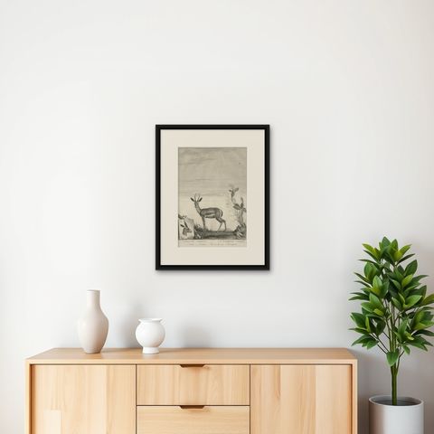 Early 19th Century Antique Print of a Gazelle Animal by Miger 'c.1805', shown framed on a wall