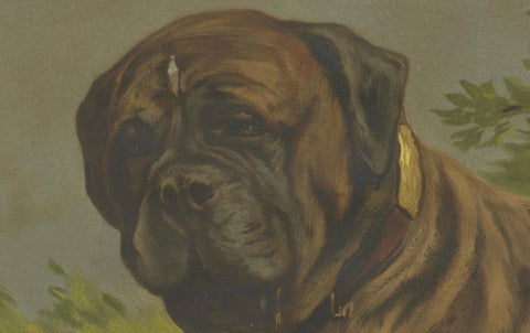 Large Antique Dog Poster, Shepherd and Mastiff by Briedwiser c.1880, close-up 5