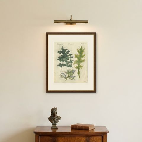 Acanthus Leaves, Classical Ornament Plant, Antique Bertuch Print, circa 1810, shown framed on a wall