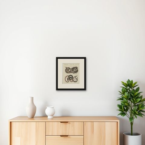Four Intertwined Snakes, Antique Bertuch Print, Vienna, circa 1805, shown framed on a wall