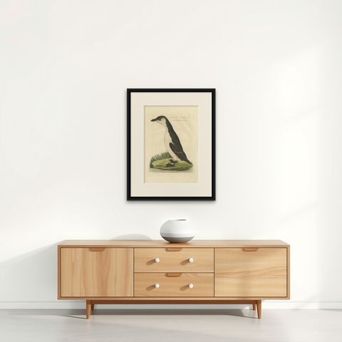 Antique Bird Print of a Young Puffin by Sepp & Nozeman, 1829, shown framed on a wall
