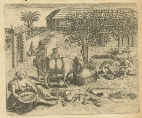 De Bry’s India and East Indies, Cockfights, Sacred Trees & Exotic Animals, 1598, close-up 2