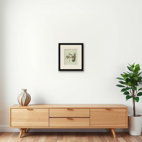 Original Antique Botanical Print of Carrion Flower and Mimosa by Bertuch, 1805, shown framed on a wall