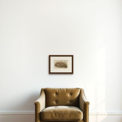 Antique Bird Print of the Burmo-Malayan Button Quail by Hume & Marshall, 1879, shown framed on a wall