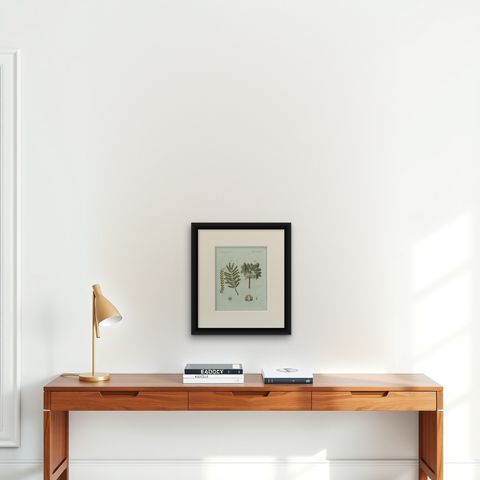Original Antique Botanical Print of Manna Ash and Sarsaparilla by Bertuch, 1805, shown framed on a wall