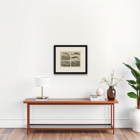 Original Antique Lithograph of Various Tailed Amphibians, circa 1890, shown framed on a wall
